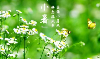 节气小暑是什么意思 节气小暑简单介绍