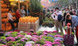 秋冬季节合适养什么花 秋冬季节合适养哪些花