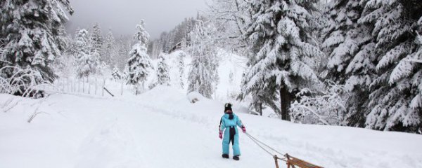 冬至下雪的说说