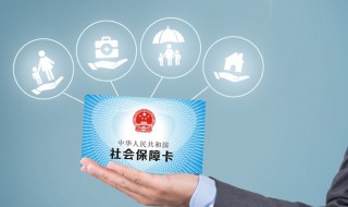 怎么查询自己的社保号 如何查询自己的社保号