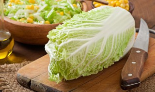 白菜炖干豆腐家常做法