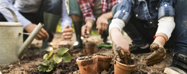 你知道怎么种植重楼最好吗