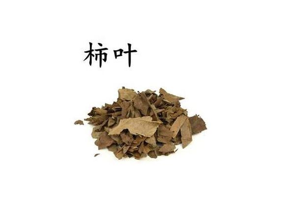 柿叶祛斑为什么要霜后柿叶