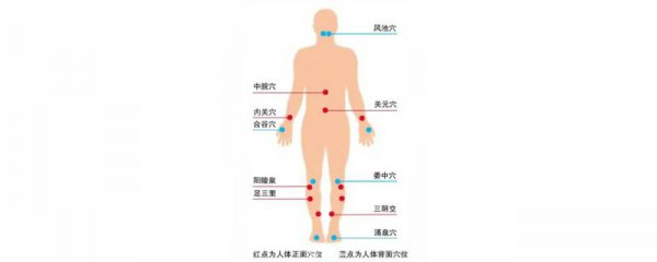 敷中药包减肥会反弹吗