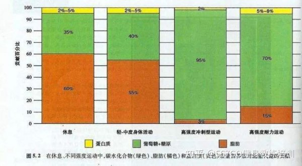 运动中能量消耗的主要来源是糖和什么