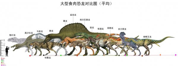 恐龙在生物分类学上属于哪一种动物