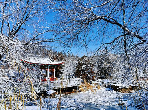 纯净的雪是什么颜色的