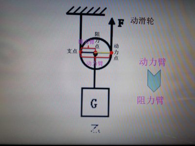 动滑轮的特点 动滑轮的特点是什么