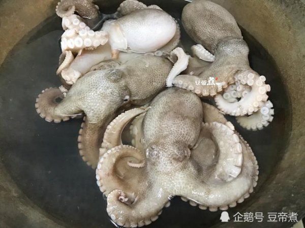 章鱼足开水下锅还是冷水