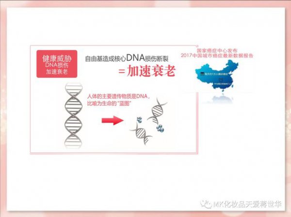 抗氧化是什么意思