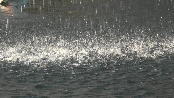 下雨时水面上为什么有泡泡