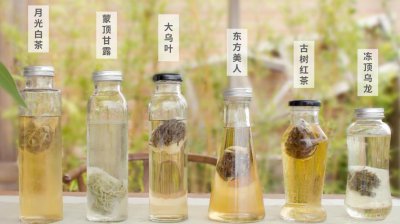 冷水泡什么茶 冷泡茶是用冷水泡的吗