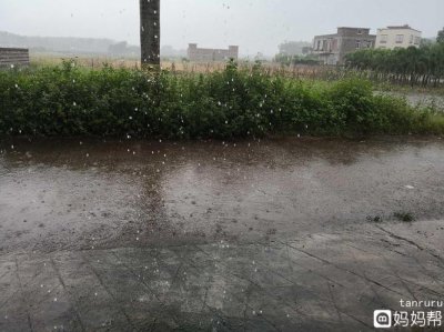 雨热同期的原因 为什么会雨热同期