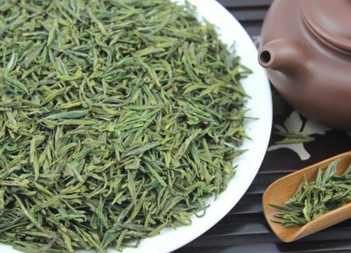 珠茶属于什么茶