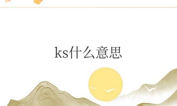 ks什么意思网络语