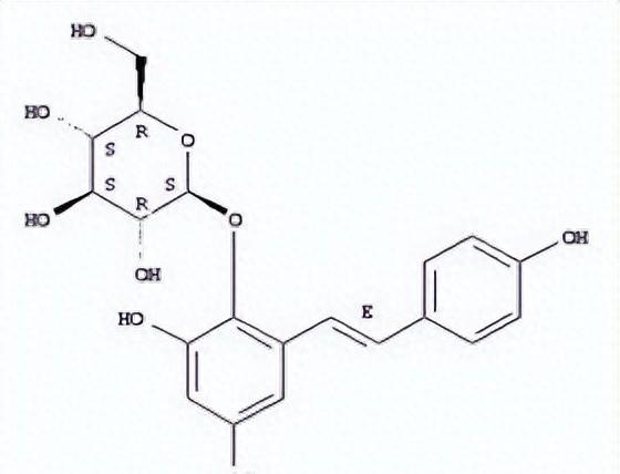 泡沫箱有毒吗？对人身体有害吗？可以种菜吗？