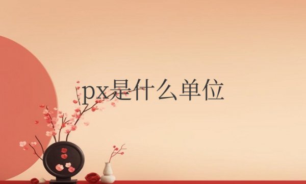 px是什么单位怎么换算成cm