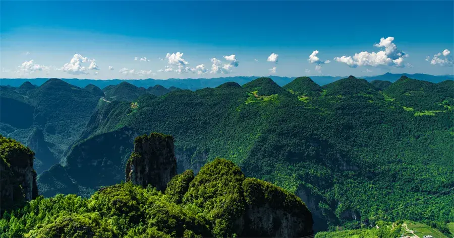 富硒茶属于什么茶类等级