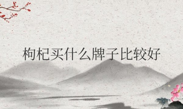 枸杞买什么牌子比较好一点