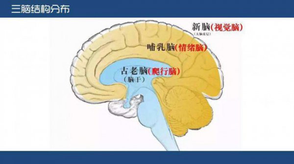 孩子哭闹发脾气家长应该如何处理