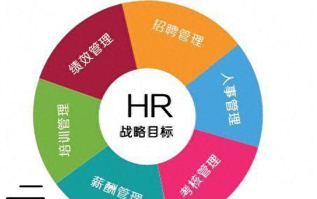 hr是什么意思职位