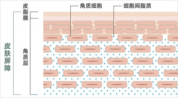 哪款卸得干净又不伤肤