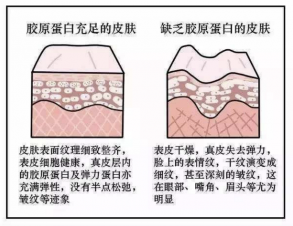 植美馥予精华怎样