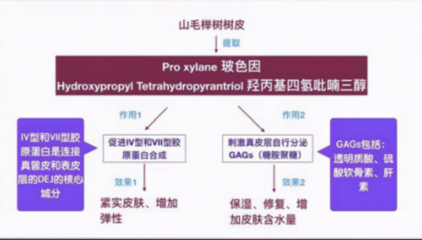 植美馥予精华怎样