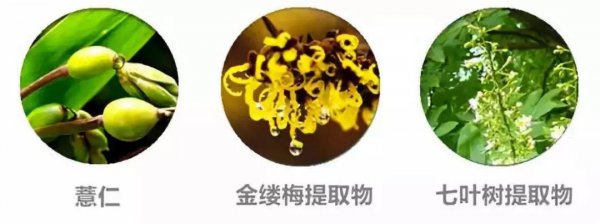 奥尔滨健康水怎样