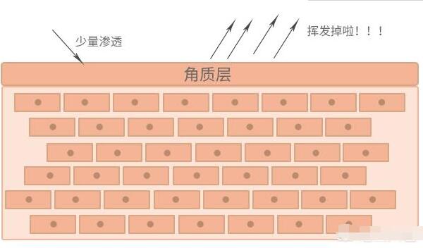 眼霜可以去眼袋的作用吗