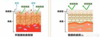 什么面霜好用补水效果好 什么面霜补水保湿效果最好