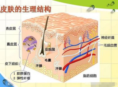 皮肤出油应该用什么护肤品 皮肤出油用什么护肤品好女生