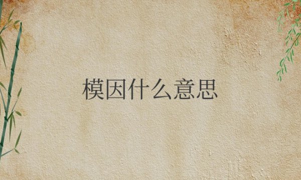 互联网模因什么意思