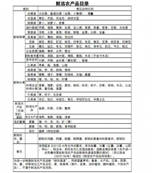 绿色通道什么意思