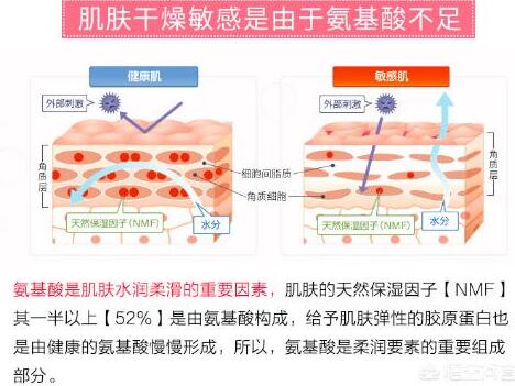 含有氨基酸的护肤品功效和作用