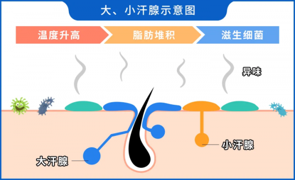 如何选择止汗剂