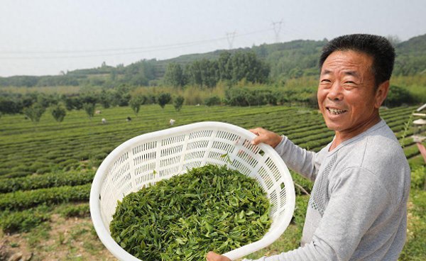 山东最出名的十大特产送人