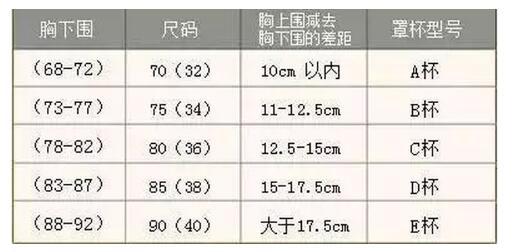 怎样介绍文胸更专业