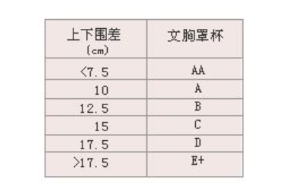 36c胸有多大参照物图片