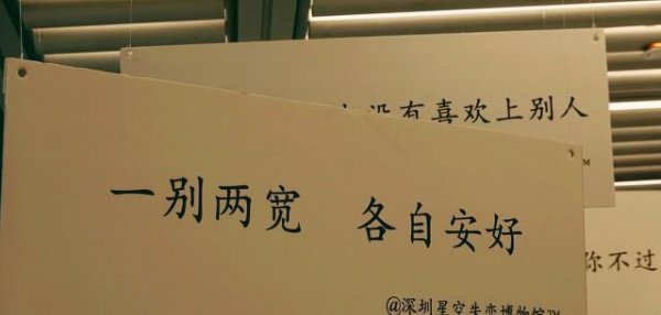 爱情中的后来者居上什么意思