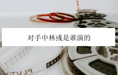 对手中林彧是谁演的 对手电视剧简介