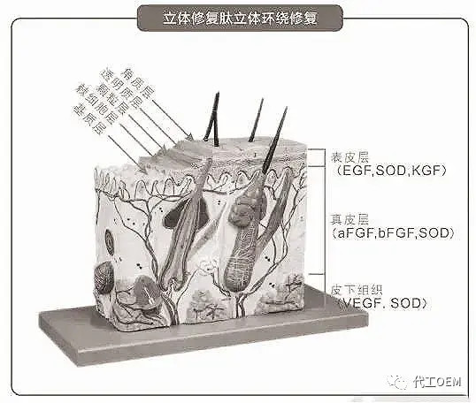 生物类护肤品有哪些