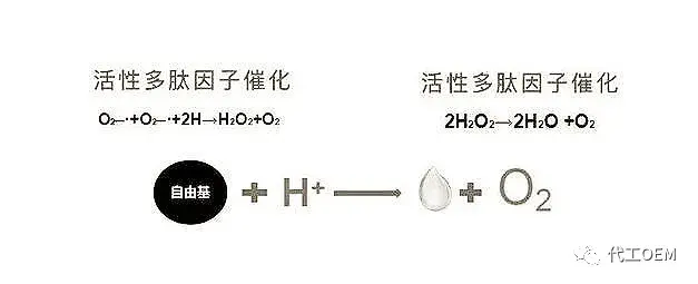 生物类护肤品有哪些