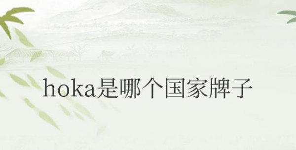 hoka是哪个国家牌子