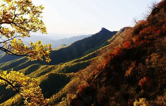 岳父岳母要离婚怎么劝