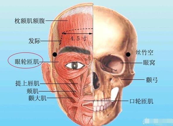 长期熬夜有眼袋怎么办