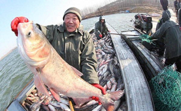 安庆特产有哪些特产可以带走送人