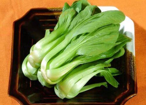 油菜可以生吃吗