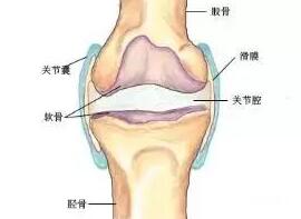 每天坚持跑步可以减肥吗？