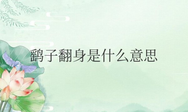 鹞子翻身是什么意思网络用语